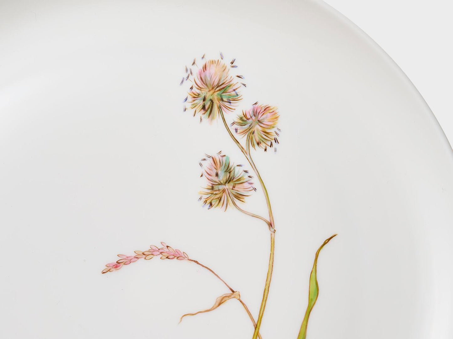 Plate Coupe | Lotos | 21 cm